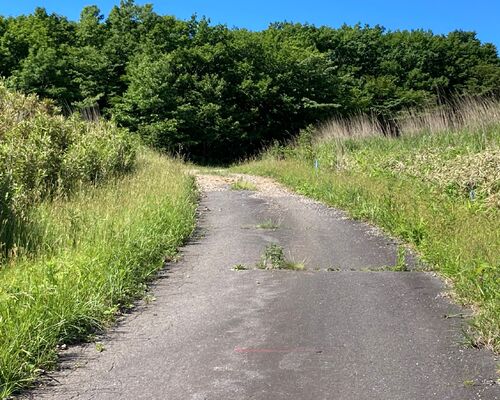 39478273-3CE4-48A0-B4BA-F3AEE444DB52