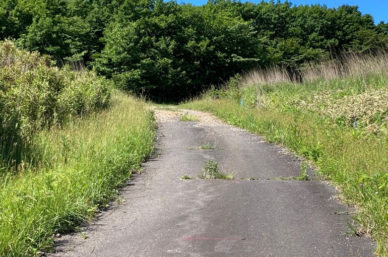 39478273-3CE4-48A0-B4BA-F3AEE444DB52