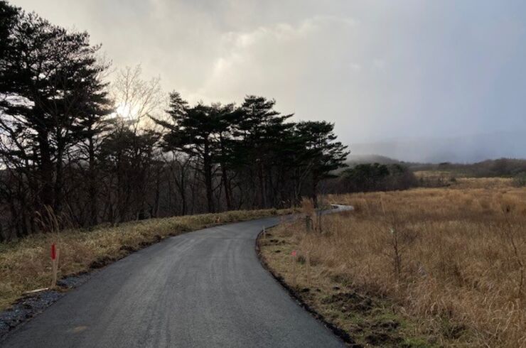 現場から中継です1