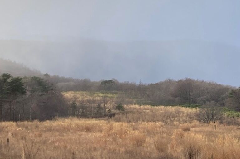 現場から中継です2